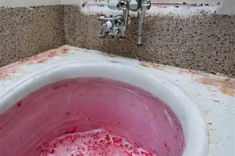 Pink Mold In Bathtub - Pink Mold