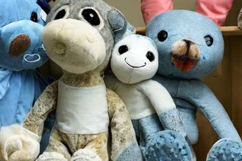 How To Get Mold Out Of Stuffed Animals