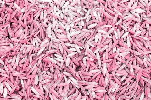 The Dangers of Pink Mold in Grain - Pink Mold