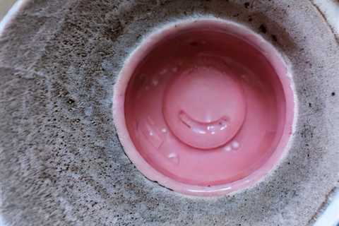 Pink Mold In Toilet Bowl - Pink Mold