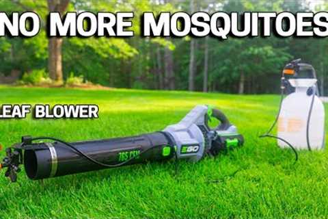 3 Ways to WIPE OUT MOSQUITOES in your YARD - Enjoy your summer!