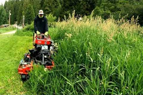 Helped My Wife''s Friend MOW Her Overgrown GRASS That Was TALLER Than Me!