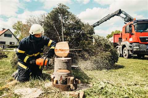 What Happens If a Tree Service Damages a Neighbor’s House?