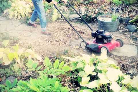 How To Mulch Leaves With A Mower