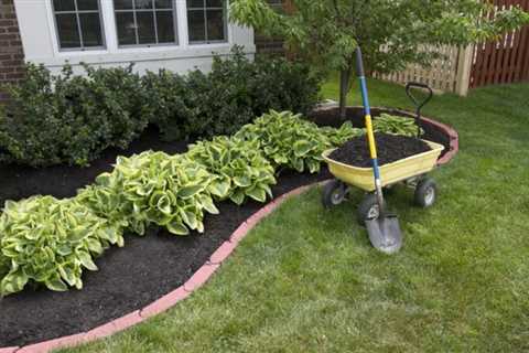 What Mulch Is Safe For Dogs