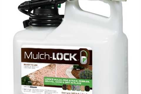 What Is Mulch Glue