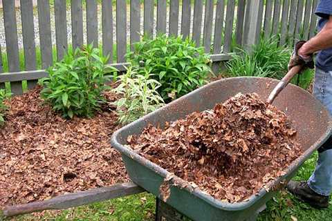 How To Make Leaf Mulch