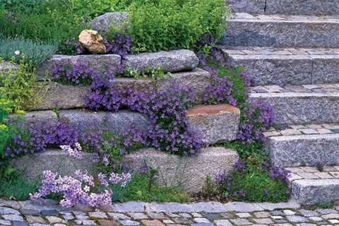 Purple Landscaping Rock