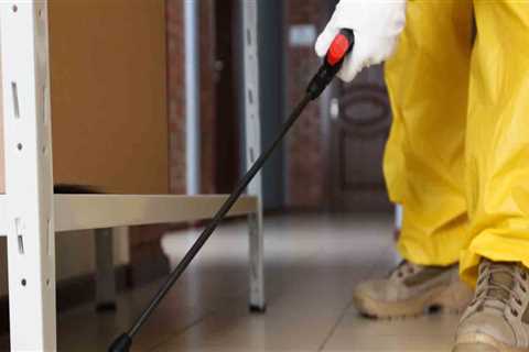 Professional Pest Control Services in Fort Mill SC