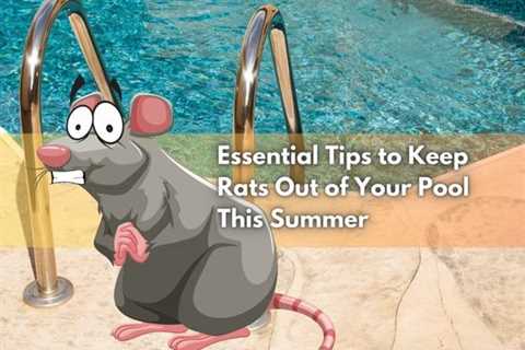 Toronto Pest Removal: Essential Tips to Keep Rats Out of Your Pool This Summer