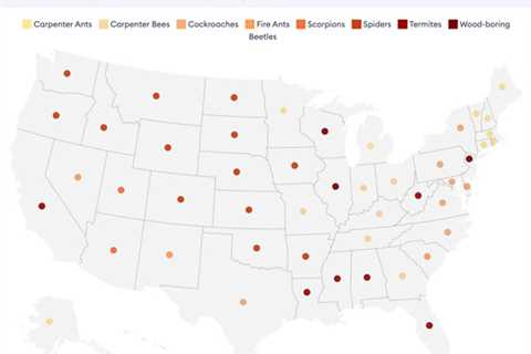 Most common pests in each state