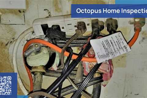 Standard post published to Octopus Home Inspections, LLC at August 01, 2023 20:00