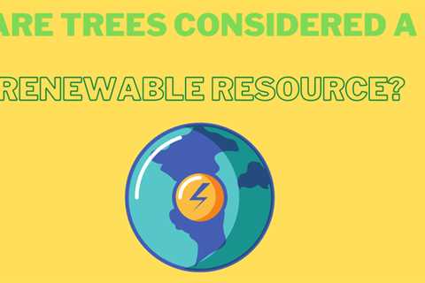 Why are trees considered a renewable resource?