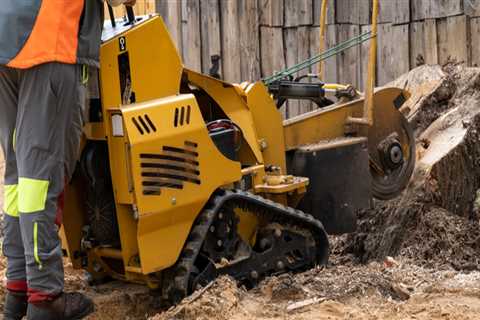 Why Stump Grinding Is Essential For Your Scottsdale Property