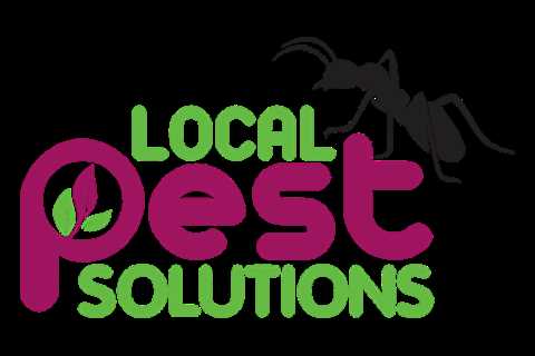 Sacramento Placerville Pest Control: Effective Solutions For Local Pest Problems