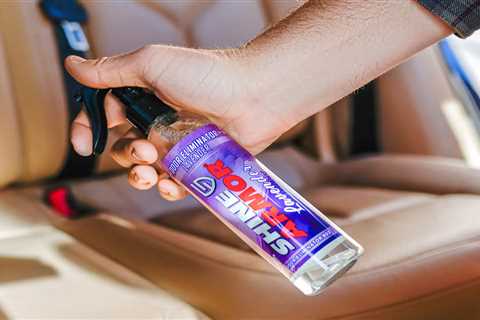 How To Remove Skunk Smell From Car Exterior: Tips For Odor Elimination