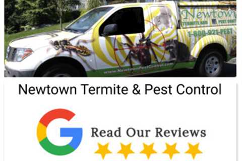 Newtown Termite And Pest Control: Keeping Your Home Pest-Free And Safe