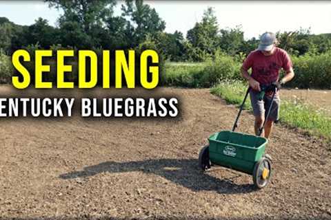 Lawn Renovation BEGINS // Seeding Kentucky Bluegrass + Perennial Ryegrass Plots