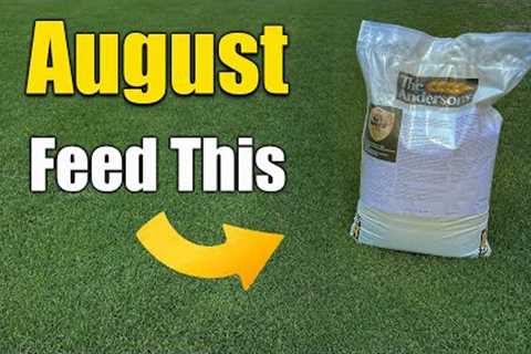 August Lawn Care - What to Feed Your Lawn