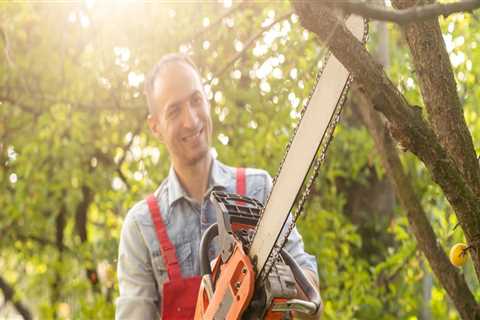 Why Tree Trimming Matters: Enhancing Safety And Aesthetics In Chilliwack, BC