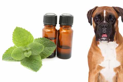 What Animals Will Peppermint Oil Deter?