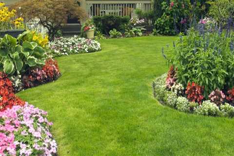 What are the steps for a nice lawn?