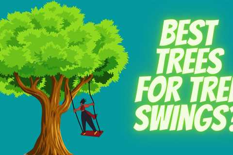 Best trees for tree swings?