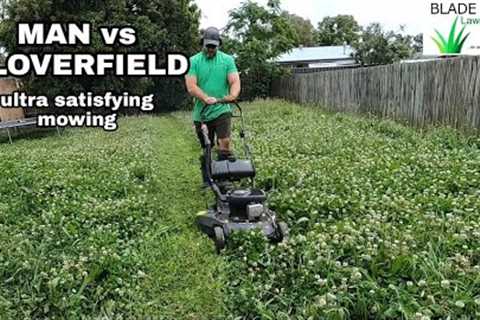 SATISFYING lawn mowing of a CLOVER FIELD - long grass cutting Australia