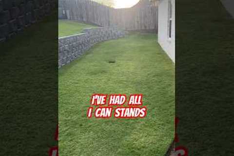 Not on my watch!😡🤞#lawncare #youtube #shorts