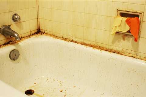 Bathroom Mold Treatment – How to Get Rid of Mold in Your Bathroom