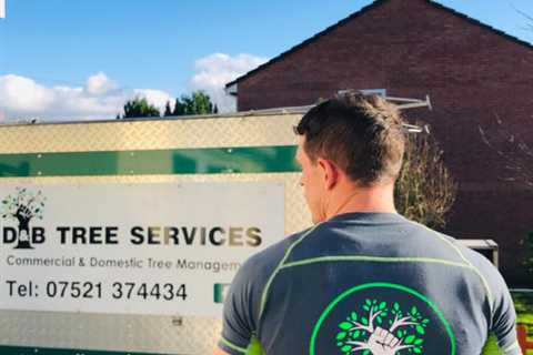 Tree Surgeon Over Monnow