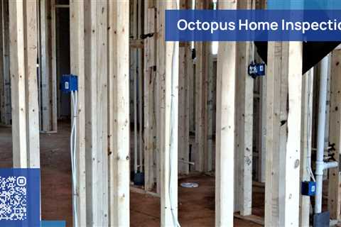 Standard post published to Octopus Home Inspections, LLC at September 27, 2023 20:00