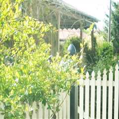 Sustainable Housing Solutions: The Role Of Fence Installation In Cape Coral, FL