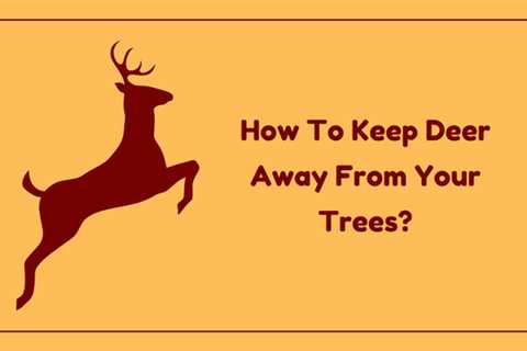 How To Keep Deer Away From Your Trees?