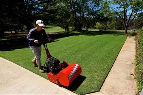 First Reel Mow On My Renovated Lawn