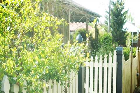 Sustainable Housing Solutions: The Role Of Fence Installation In Cape Coral, FL