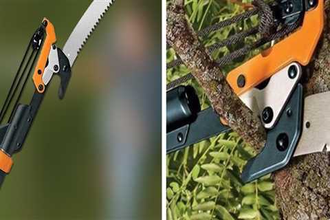 How to Choose the Best Pole Saw for Tree Trimming