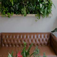 Interior Designers in Indianapolis: Custom Plants and Greenery for Your Home
