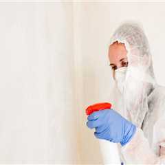 Building A Clean Future: Hiring A Mold Remediation Company During Construction Cleaning In Toms..