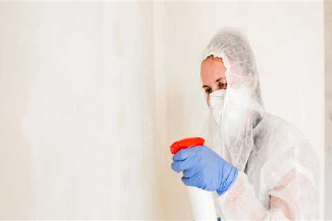 Building A Clean Future: Hiring A Mold Remediation Company During Construction Cleaning In Toms..