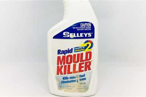 Mold Killer – How to Choose the Right One For Your Home