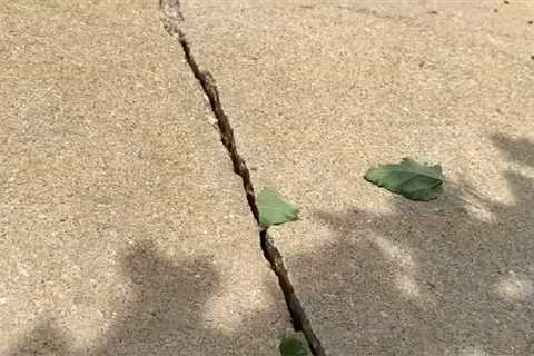 How Do You Repair a Severely Cracked Driveway?