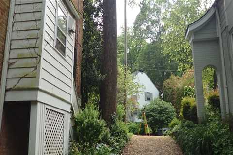 The Importance of Obtaining a Permit for Residential Tree Removal