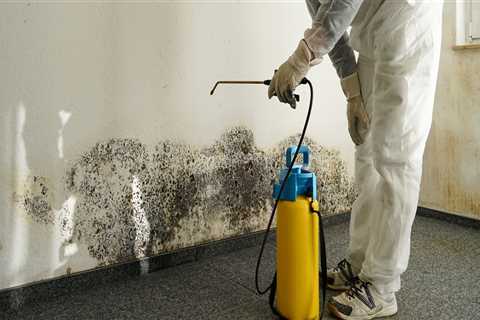 Don't Let Mold Take Over: A Guide To Remediation In Seattle After Inspection