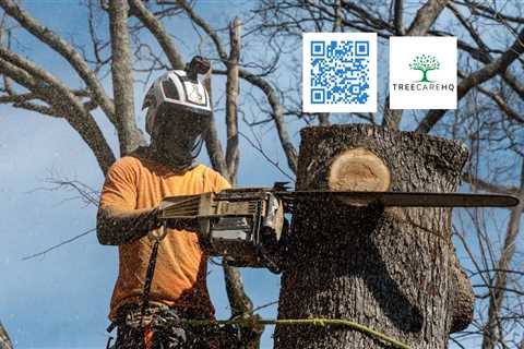 TreeCareHQ Lynn in Lynn, Massachusetts 01904 - (781) 776-9130 - iBegin