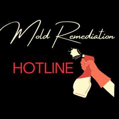 Mold Remediation Hotline – Medium