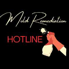 Mold Remediation Hotline Roswell GA - Ask GV