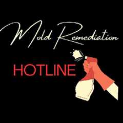 moldremediationhotline Profile and Activity - Eater