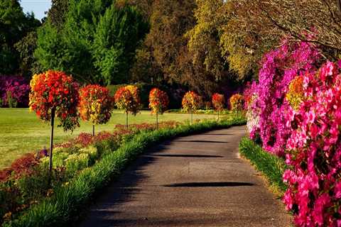 Canopy Chronicles: Exploring The Green Connection Between Groundskeeping And Tree Care In Leesburg, ..