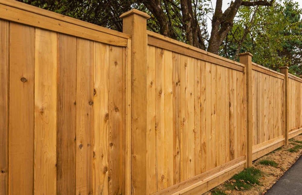 Legal Timber Fence Heights and Restrictions in New Zealand - Real Fencing